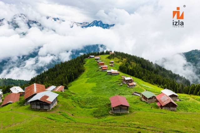 حجز رحلة ريزا